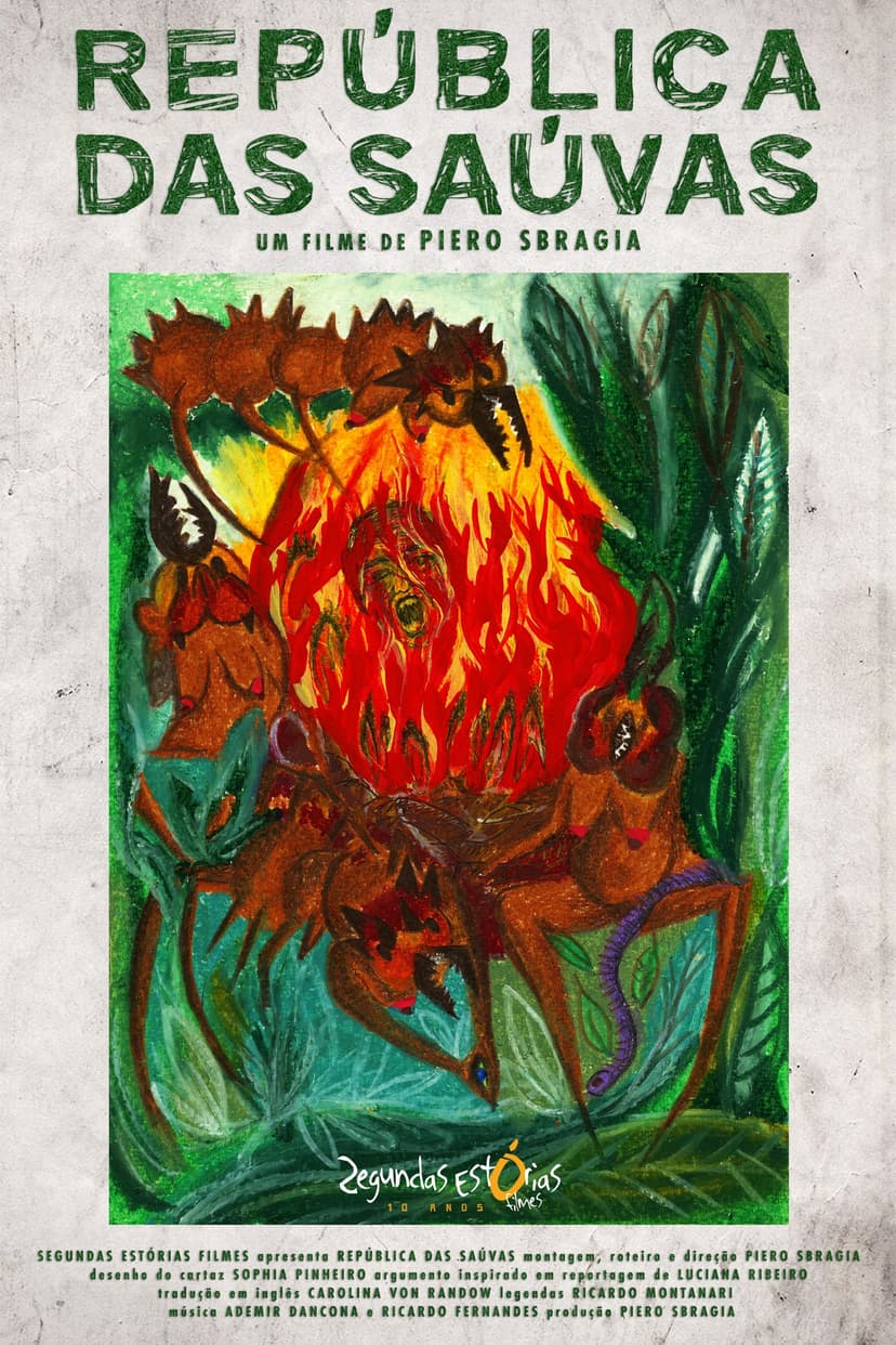 Picture of the author