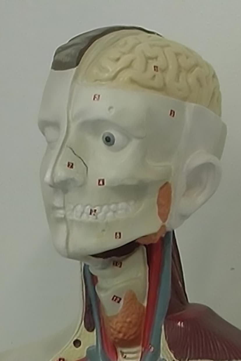 Picture of the author