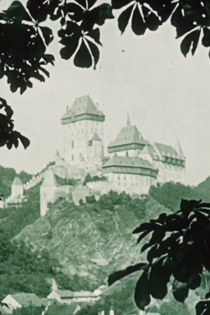 Picture of the author