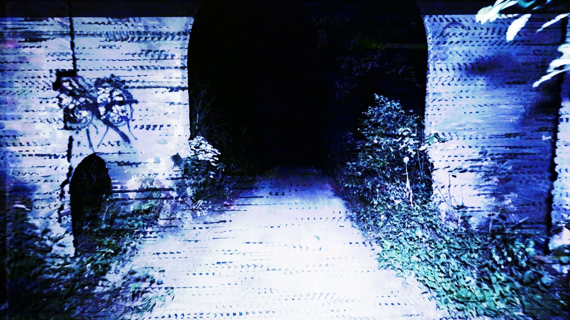 /hXHrfihU5Ysa8ljVkpwbp7S7cuT.jpg